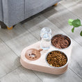 Load image into Gallery viewer, 3-in 1 Pet Bowl Set