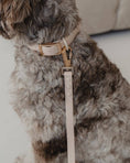 Load image into Gallery viewer, Waterproof Dog Leash in Nude