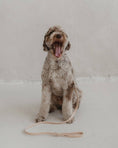 Load image into Gallery viewer, Waterproof Dog Leash in Nude