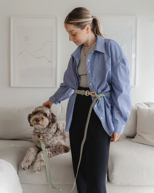 Hands Free Leash