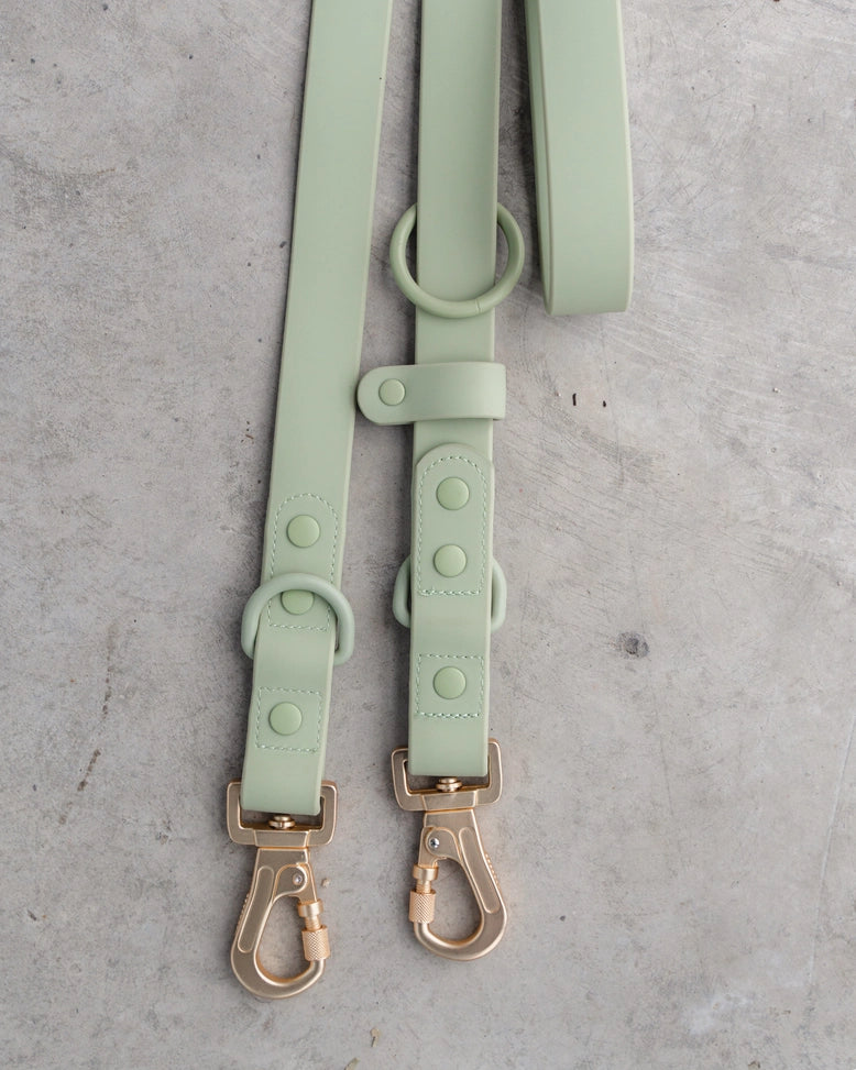 Hands Free Leash