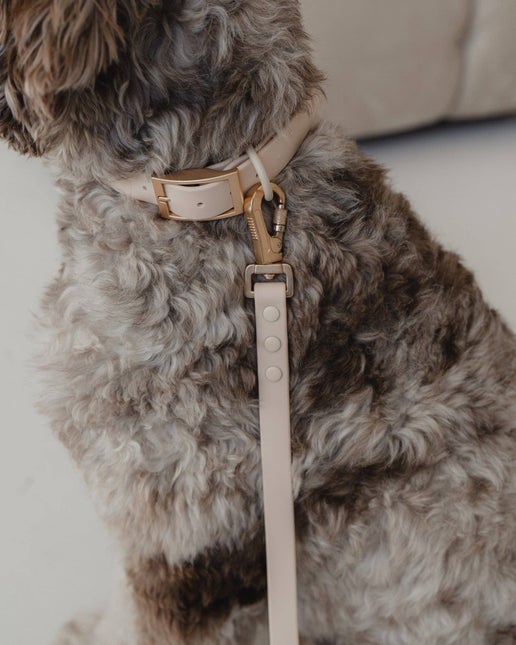 Waterproof Dog Leash in Nude