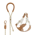 Load image into Gallery viewer, #OOTD Leash & Harness Set - Faux Leather
