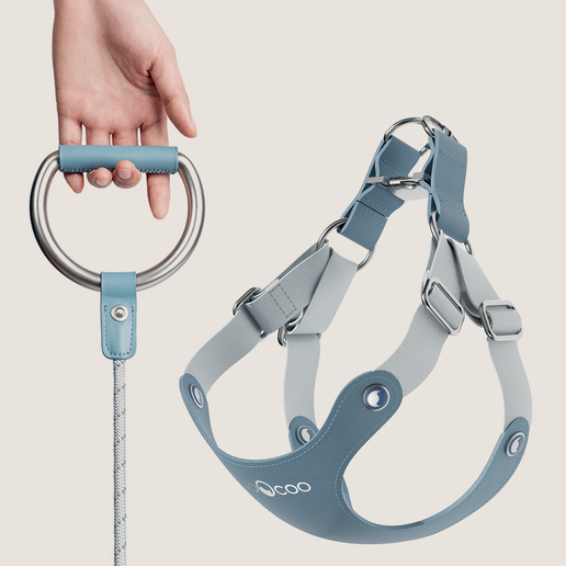 #OOTD Leash & Harness Set - Faux Leather