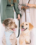 Load image into Gallery viewer, Hands Free Leash
