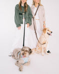 Load image into Gallery viewer, Hands Free Leash
