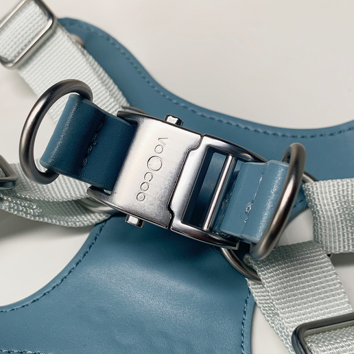 #OOTD Leash & Harness Set - Faux Leather