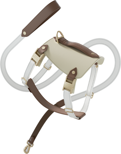 Saddle Pet Leash & Harness Set