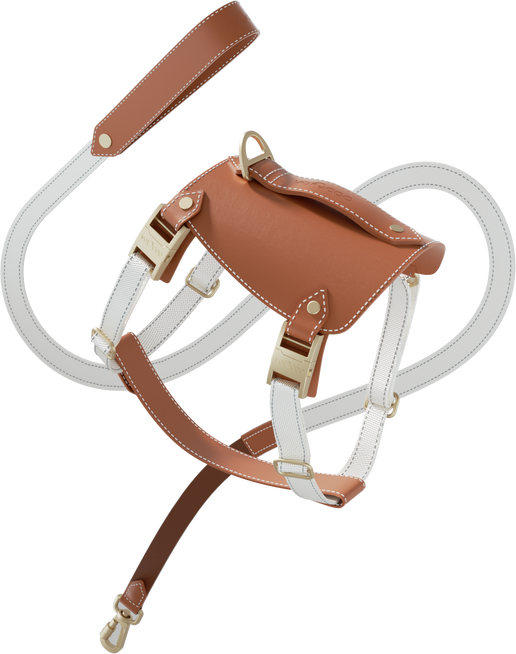 Saddle Pet Leash & Harness Set