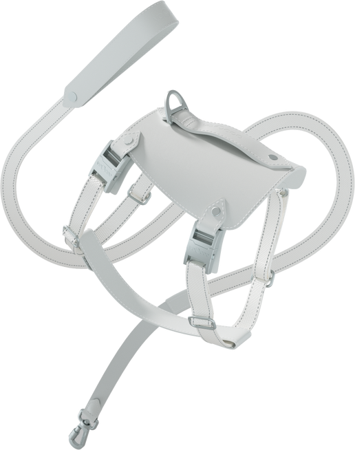 Saddle Pet Leash & Harness Set